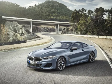 BMW 8 Series Coupe (G15)