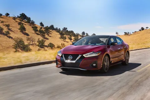 Maxima